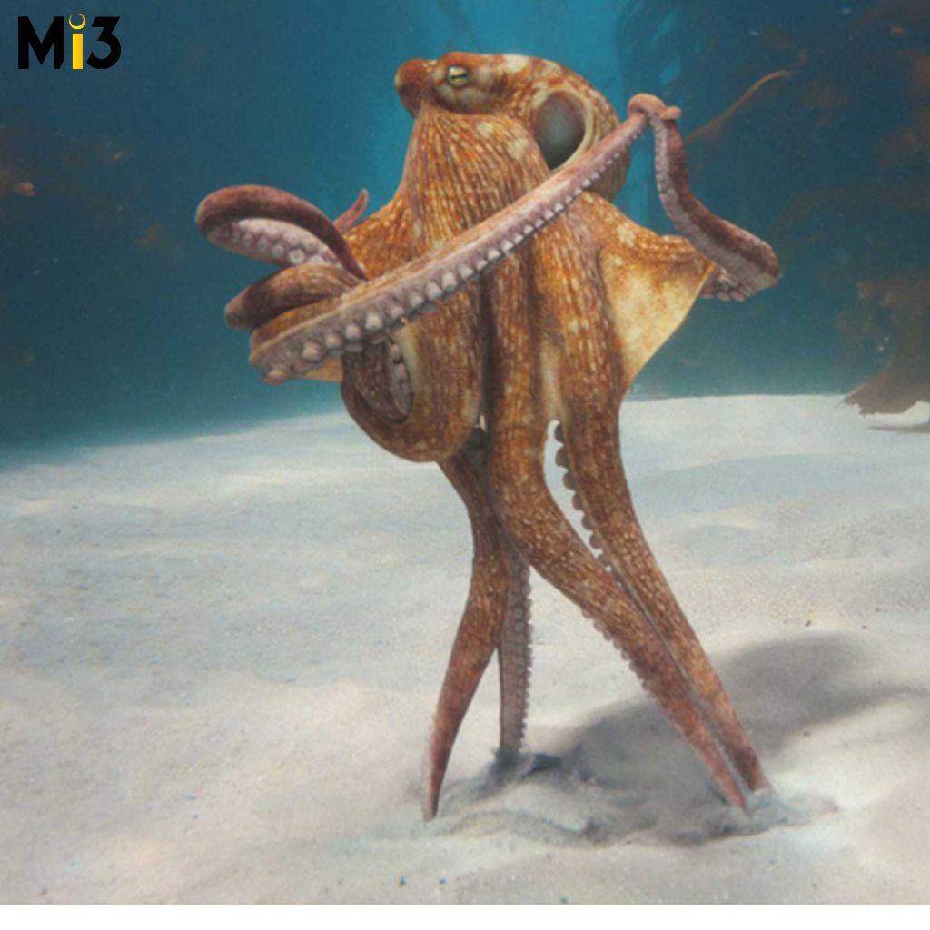 BMW dances with Okto the Octopus to highlight new control unit